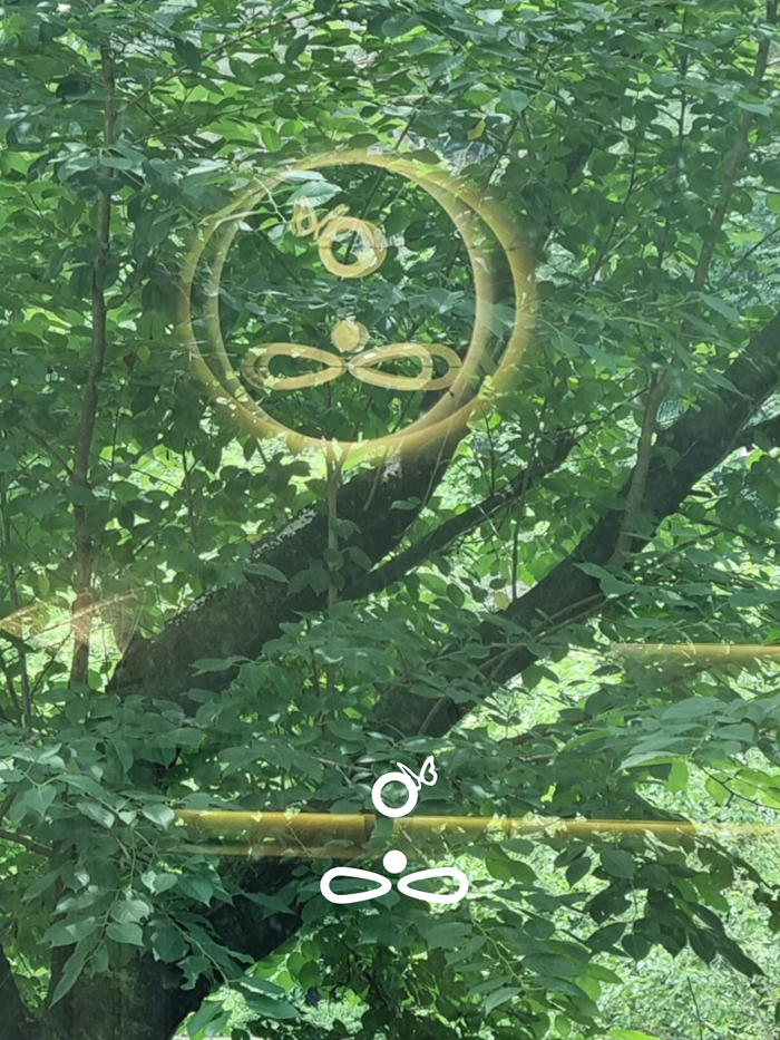 41b307125d99ad028d0191e0e47bb8ac_1751270216_265.png